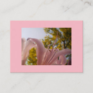 Premium Silk Pink Lily Business Card