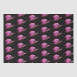 Premium Sophisticated Pink Waterlily on Black Tissue Paper