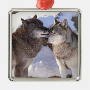 Premium Square Ornament "Alpha Kiss"