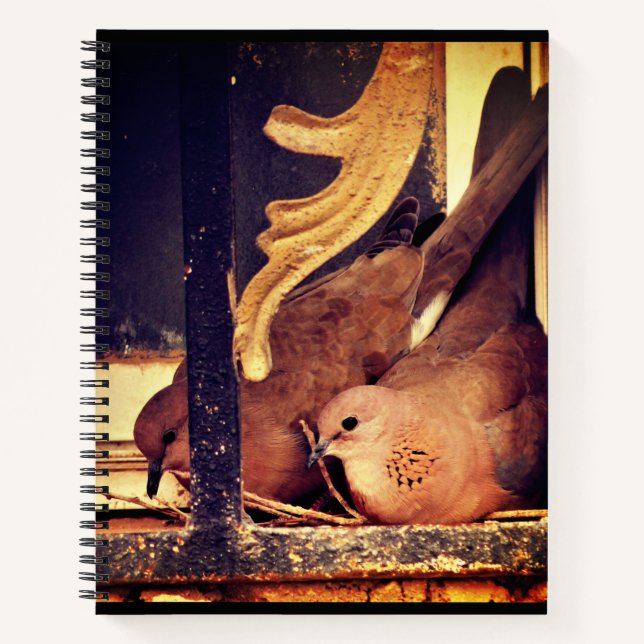 Preparation  notebook (Front)