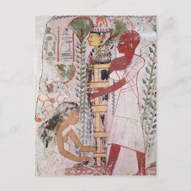 Preparing a mummy for a purification ceremony postcard (Front)