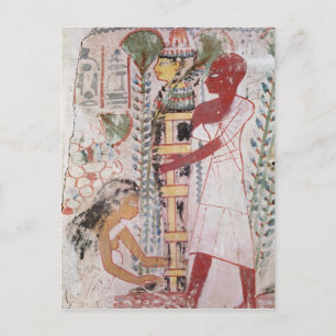 Preparing a mummy for a purification ceremony postcard