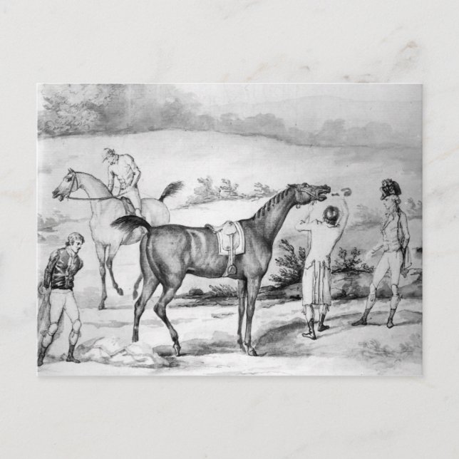 Preparing for a Race Postcard (Front)