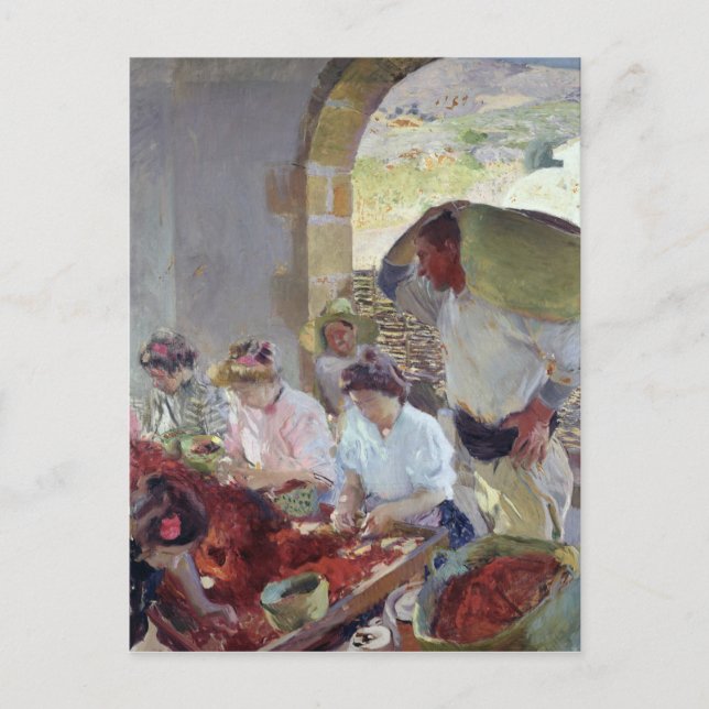 Preparing the Dry Grapes, 1890 Postcard (Front)