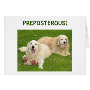 PREPOSTEROUS-YOU ARE "40" BIRTHDAY CA