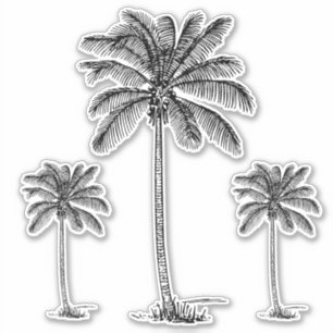 Preppy Black Coastal Palmetto Palm Trees