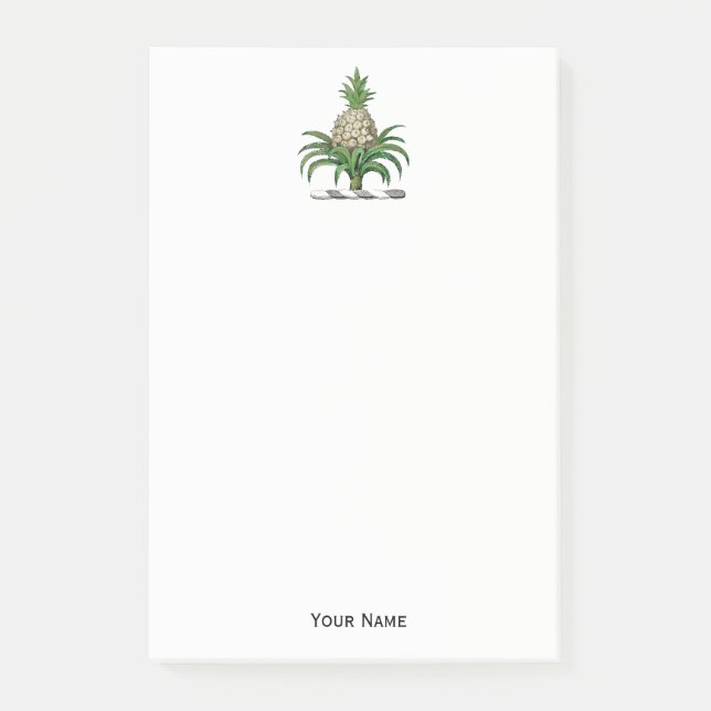 Preppy Heraldic Pineapple Coat of Arms Crest Post-it Notes (Front)