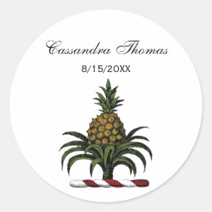 Preppy Heraldic Pineapple Crest Colour RWT Classic Round Sticker