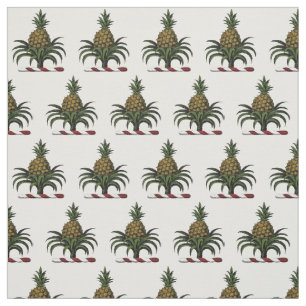 Preppy Heraldic Pineapple Crest Colour WT Fabric