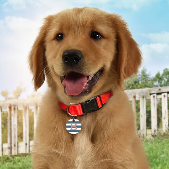 Preppy Striped Slate Blue Monogram ID Dog Tag (Creator Uploaded)