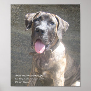 Presa Canario Pup Print