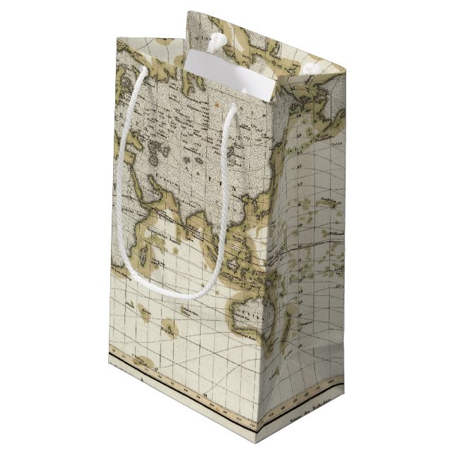 presentation isodynamic lines small gift bag (Back Angled)