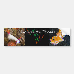 Preserve the Oceans Bumper Sticker