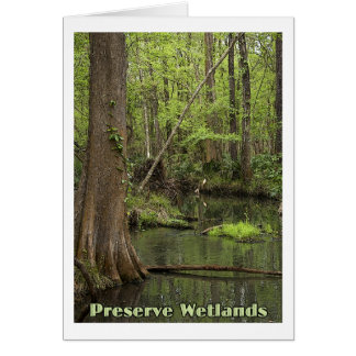 Preserve Wetlands