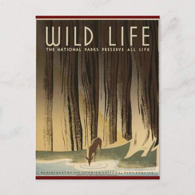 Preserve Wild life Postcard (Front)