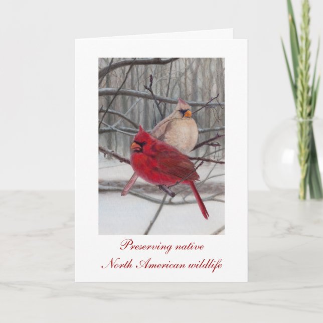Preserving Wildlife Holiday Card (Front)