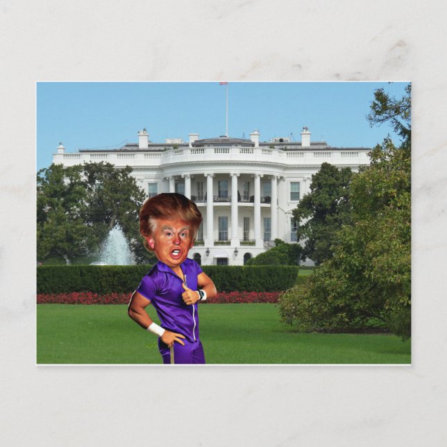 president donald trump postcard (Front)