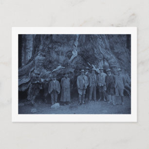 President Roosevelt and John Muir   (Cyan) Postcard