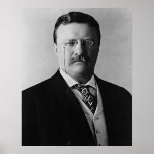 President Theodore Roosevelt Portait Poster