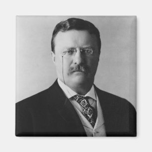 President Theodore Roosevelt Portrait Magnet