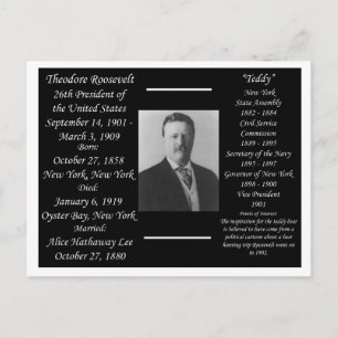 President Theodore Roosevelt Postcard