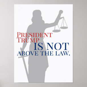 President Trump is Not Above the Law Lady Justice Poster