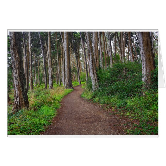 Presidio, SF (Front Horizontal)