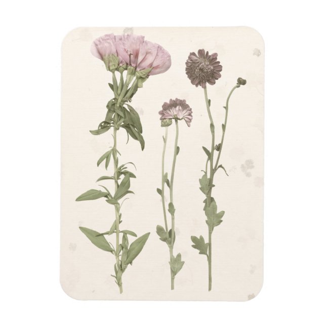 Pressed Blooms - Pink Magnet (Vertical)