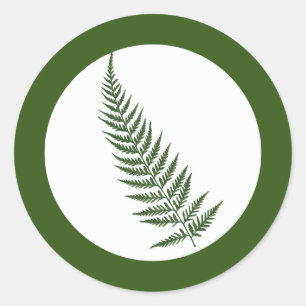 Pressed Botanical Fern Leaf - Mix and Match Colour Classic Round Sticker
