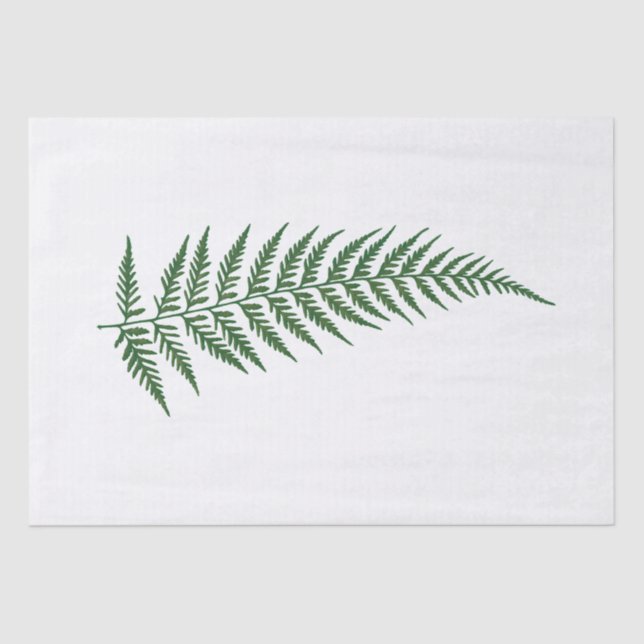 Pressed Botanical Fern Leaf - Mix and Match Colour Tissue Paper (Front)