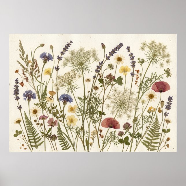 Pressed Wildflowers Botanical Herbarium Art Poster (Front)
