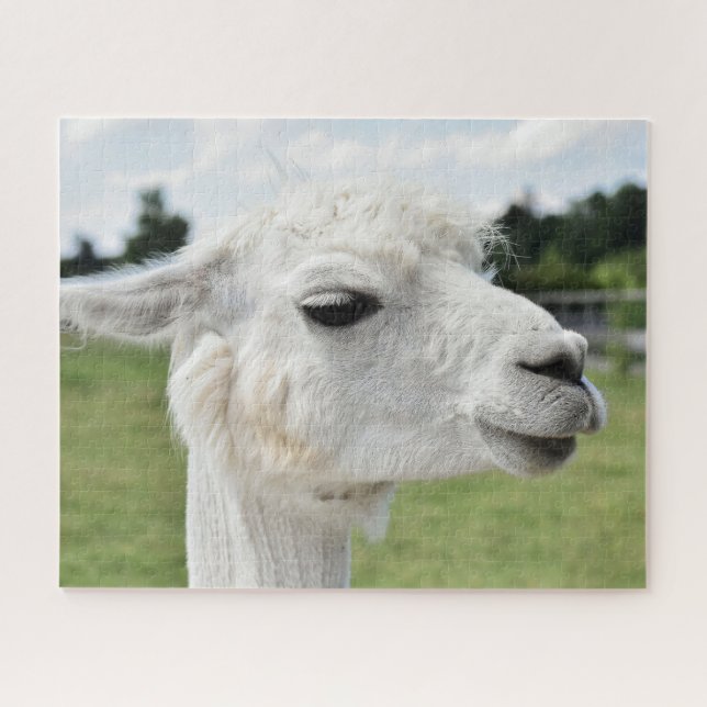 Pretty Alpaca Llama Photography Jigsaw Puzzle (Horizontal)
