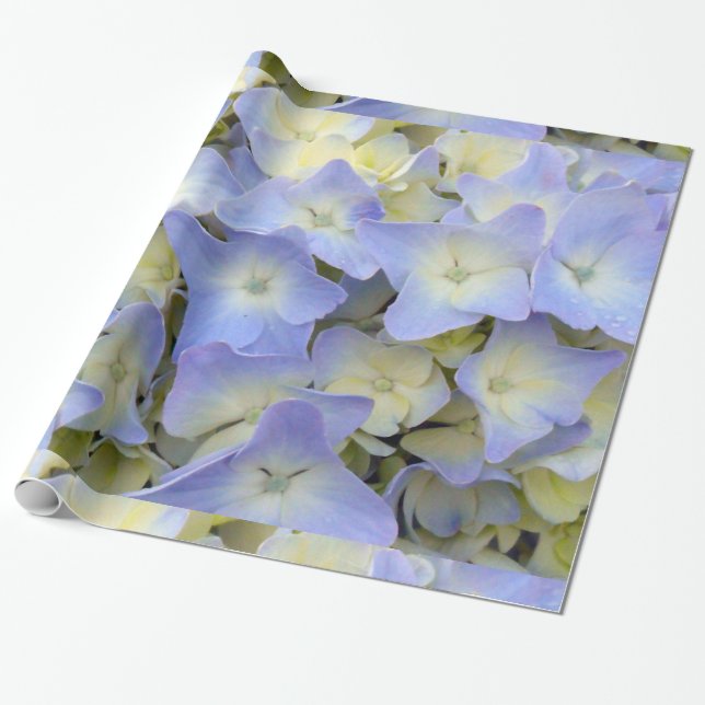 Pretty and Colourful Light Blue Hydrangea Flowers Wrapping Paper (Unrolled)
