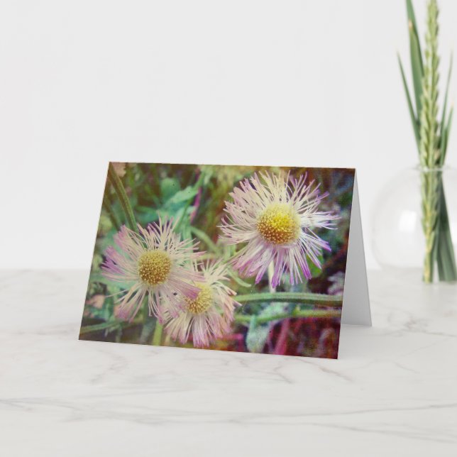 Pretty and Pink Card (Front)