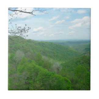 Pretty Appalachian Overlook Tile