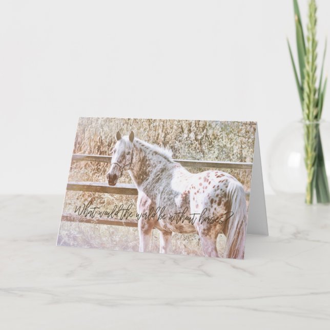 PRETTY APPALOOSA Greeting Card (Front)