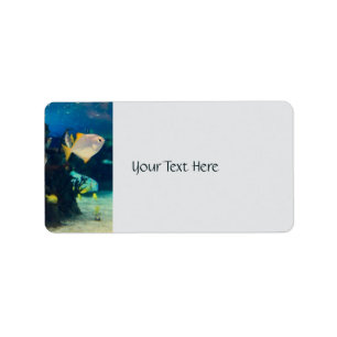 Pretty Aquarium Fish Label