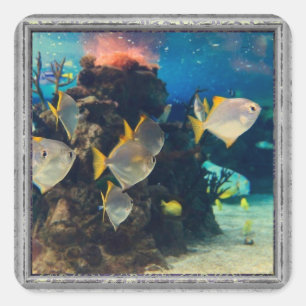 Pretty Aquarium Fish  Square Sticker