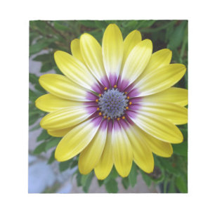 Pretty as Sunshine Notepad