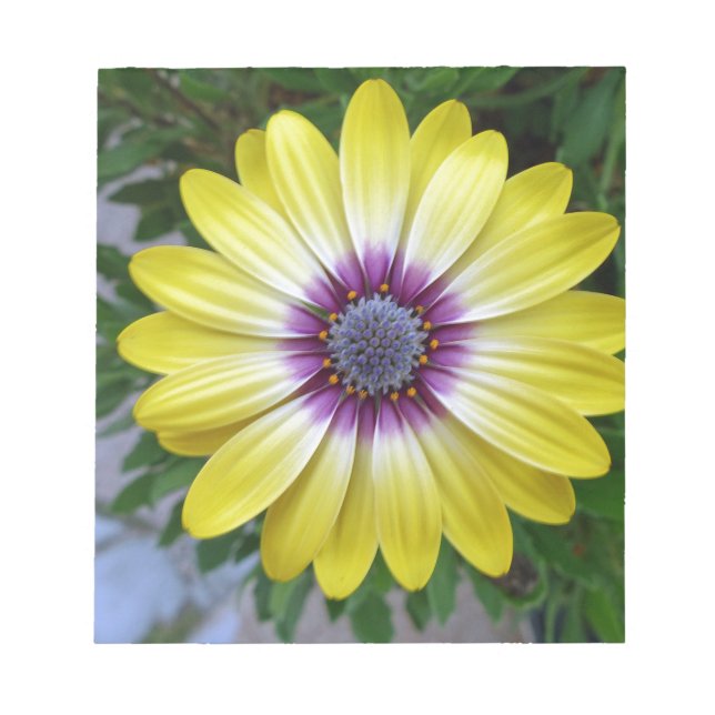 Pretty as Sunshine Notepad (Front)