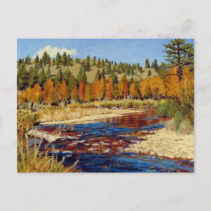 Pretty Autumn Colorado Mountain Stream Postcard