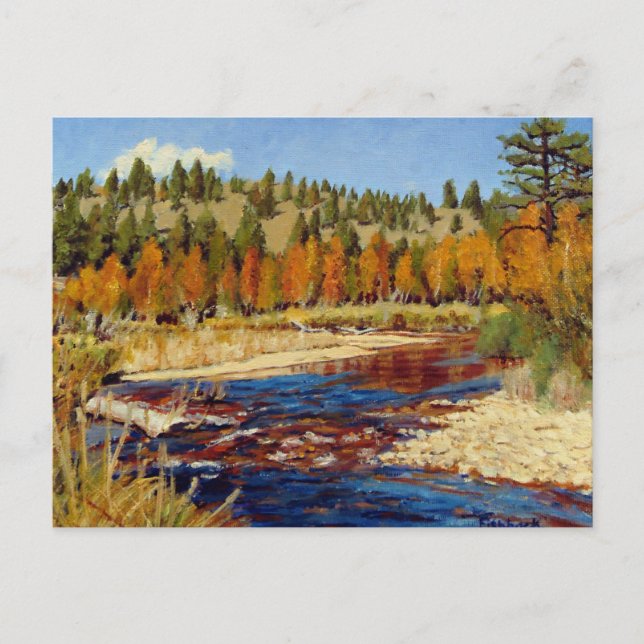 Pretty Autumn Colorado Mountain Stream Postcard (Front)
