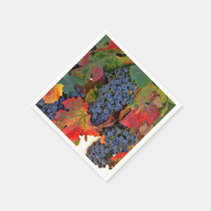 Pretty Autumn Coloured Wine Vineyard Cocktail Napkin