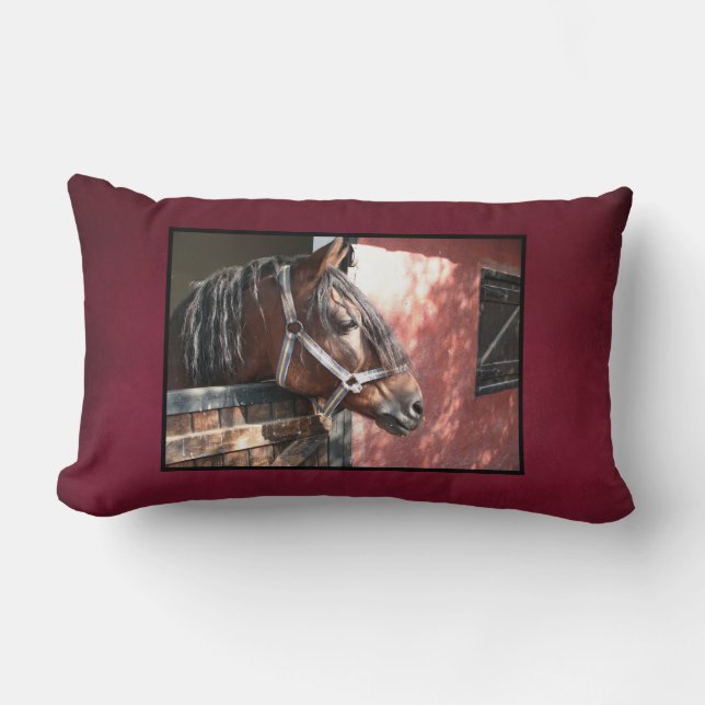 Pretty Bay Horse in a Sunlit Stable Lumbar Cushion (Front)