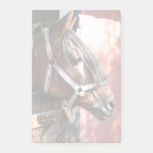 Pretty Bay Horse in a Sunlit Stable Post-it Notes