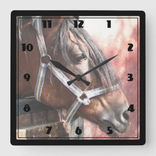 Pretty Bay Horse in a Sunlit Stable Square Wall Clock