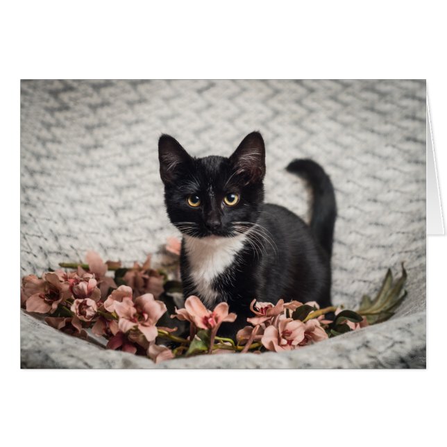 Pretty Bella Rose (Front Horizontal)