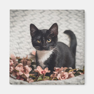 Pretty Bella Rose Magnet