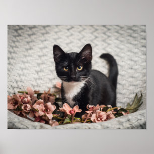 Pretty Bella Rose Poster