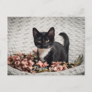 Pretty Bella Rose Thank You Postcard